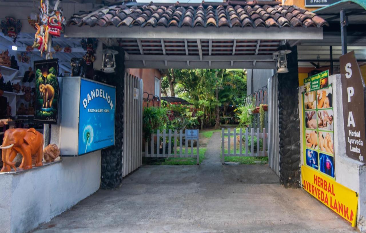 Dandelion - Unawatuna Exterior photo