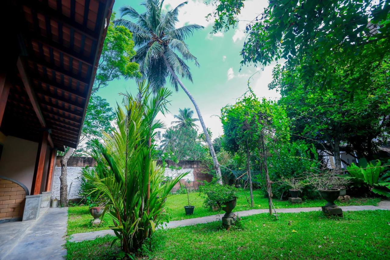 Dandelion - Unawatuna Exterior photo